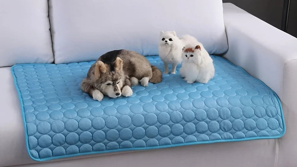 Comfort at Home